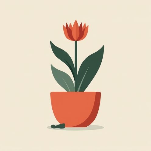 Minimalist pot with Kalanchoe