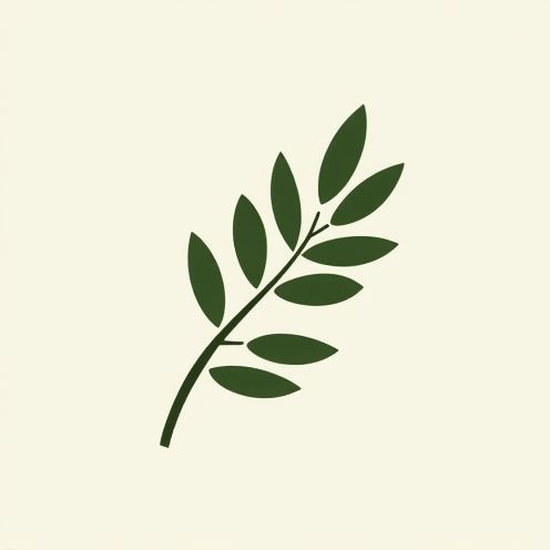 Olive Branch