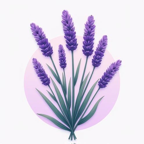 Lavender Blooms