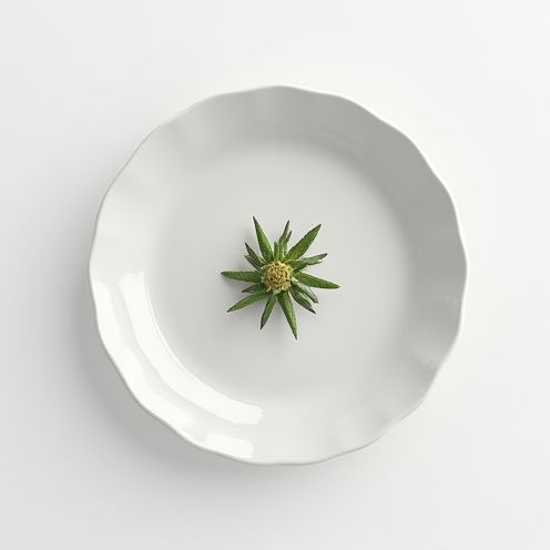 Porcelain plate