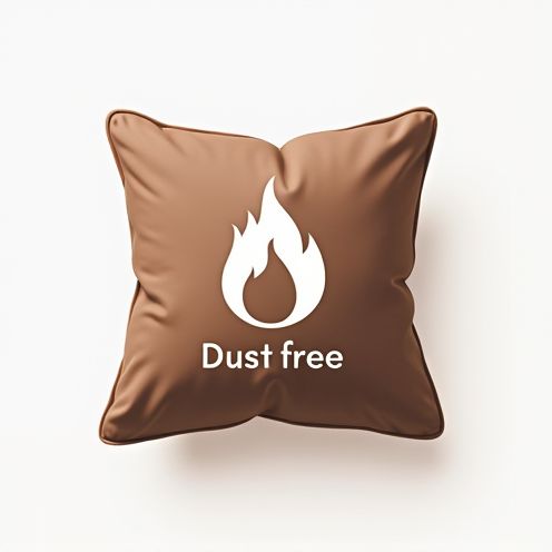 Dust-free cushion