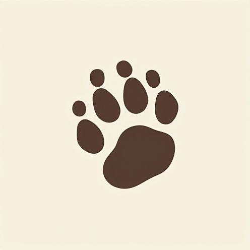 Animal Footprint