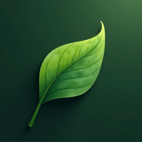 Viscose Plant Leaf