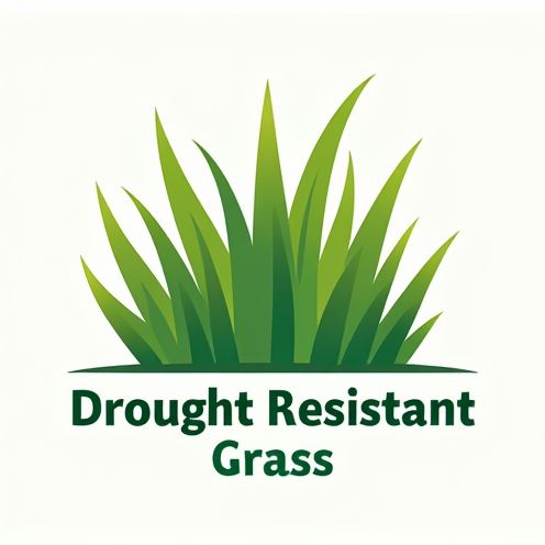 Drought-Resistant Grass