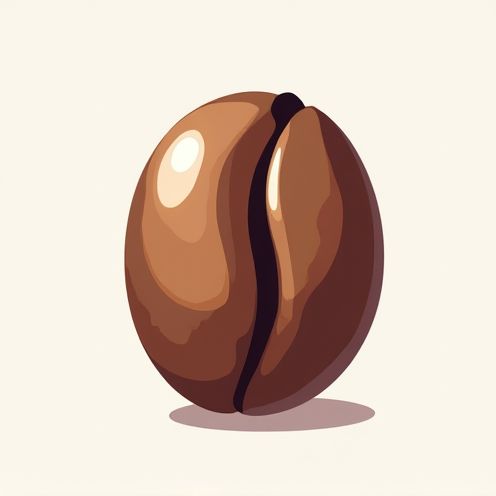 Cocoa Bean