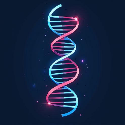 DNA helix