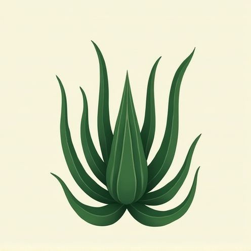 Aloe ferox plant