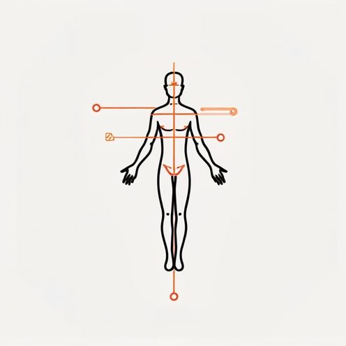 Posture alignment lines