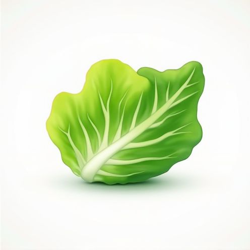 Lettuce Wrap